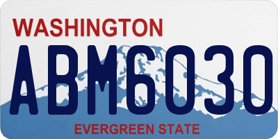 WA license plate ABM6030