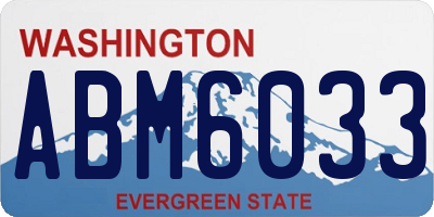 WA license plate ABM6033
