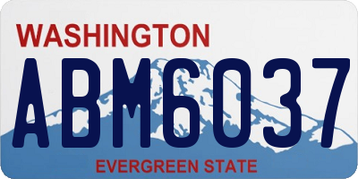 WA license plate ABM6037