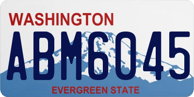 WA license plate ABM6045