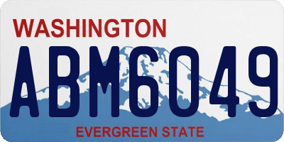 WA license plate ABM6049