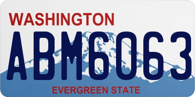 WA license plate ABM6063