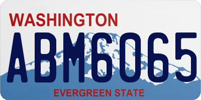 WA license plate ABM6065