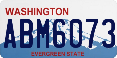 WA license plate ABM6073