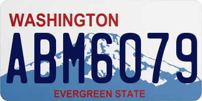 WA license plate ABM6079