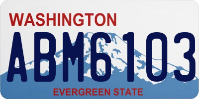 WA license plate ABM6103