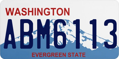 WA license plate ABM6113