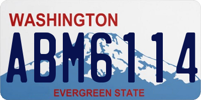 WA license plate ABM6114