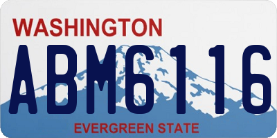WA license plate ABM6116