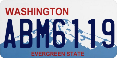 WA license plate ABM6119