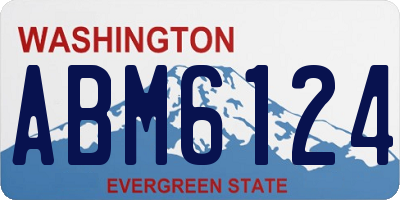 WA license plate ABM6124