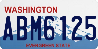 WA license plate ABM6125