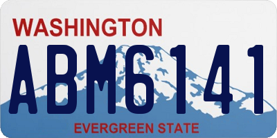 WA license plate ABM6141