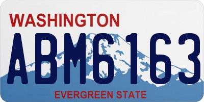 WA license plate ABM6163