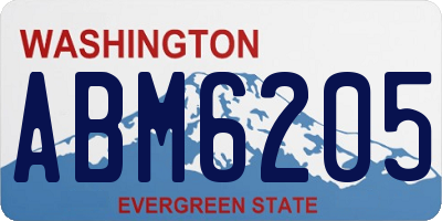 WA license plate ABM6205