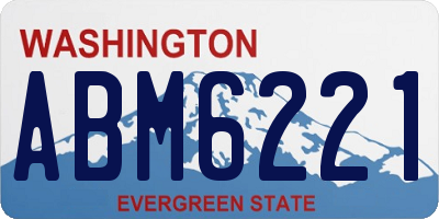 WA license plate ABM6221