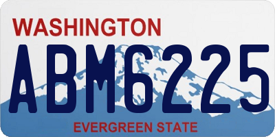 WA license plate ABM6225