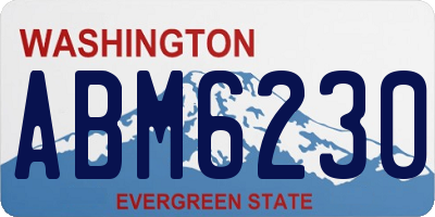 WA license plate ABM6230