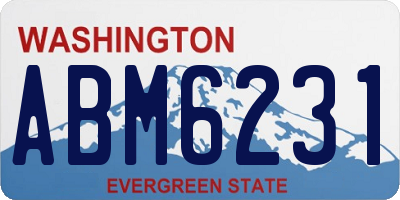 WA license plate ABM6231