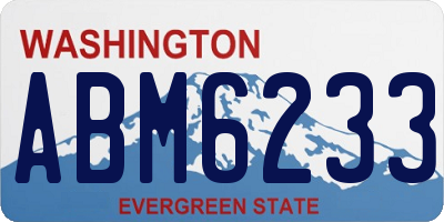 WA license plate ABM6233