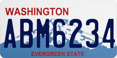 WA license plate ABM6234
