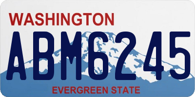 WA license plate ABM6245