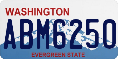 WA license plate ABM6250