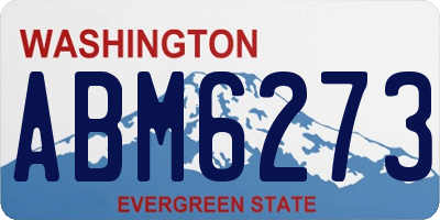 WA license plate ABM6273