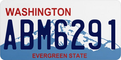 WA license plate ABM6291