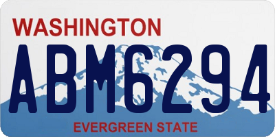 WA license plate ABM6294