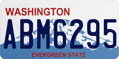 WA license plate ABM6295