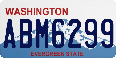 WA license plate ABM6299
