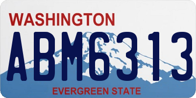 WA license plate ABM6313