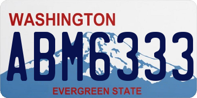 WA license plate ABM6333
