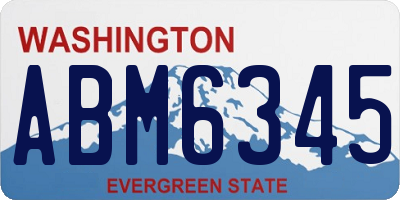 WA license plate ABM6345
