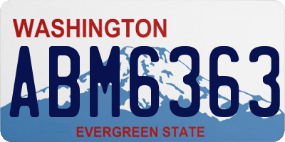 WA license plate ABM6363