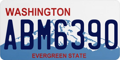 WA license plate ABM6390