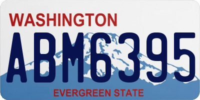 WA license plate ABM6395
