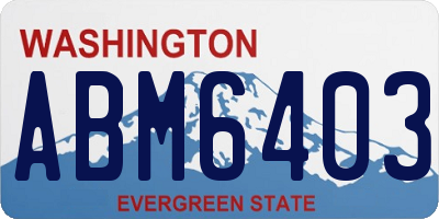 WA license plate ABM6403