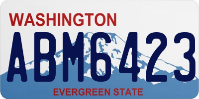 WA license plate ABM6423