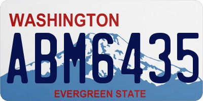 WA license plate ABM6435