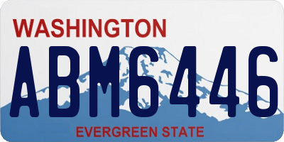 WA license plate ABM6446