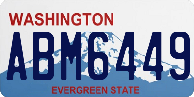 WA license plate ABM6449