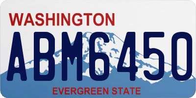 WA license plate ABM6450