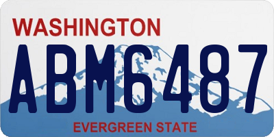 WA license plate ABM6487