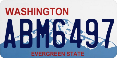 WA license plate ABM6497