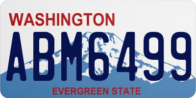 WA license plate ABM6499