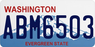 WA license plate ABM6503