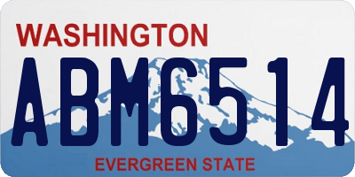 WA license plate ABM6514