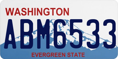 WA license plate ABM6533